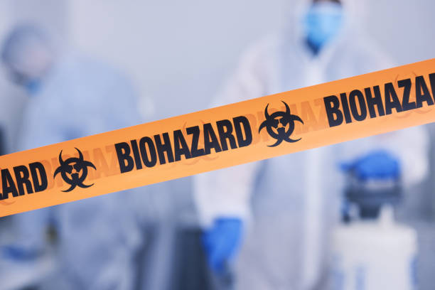Professional Odor Removal technician working in Bainbridge, IN